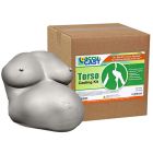 Full Torso / Pregnancy Casting Kit